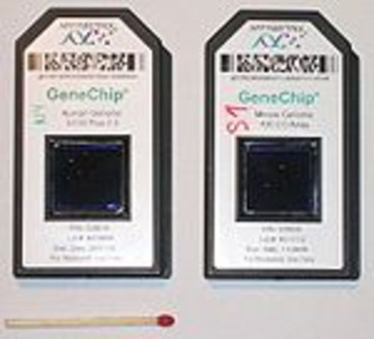 DNA Microarrays