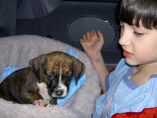 We get my other dog, Penny.