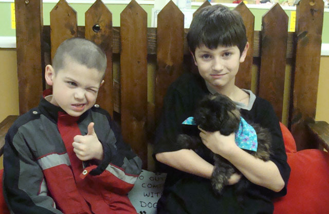 We get our third dog, Mousse.