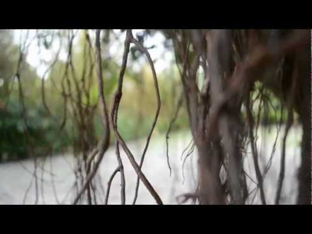 Australian military commitment to Vietnam trebled