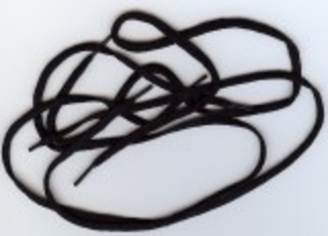 Shoelace