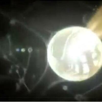 Timeline: The Link: Del Arado a los Autos de Carrera