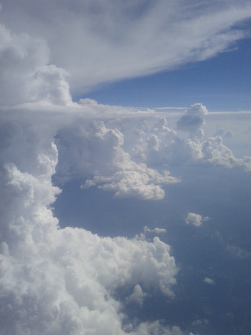 Left my brother and my niece in South Carolina