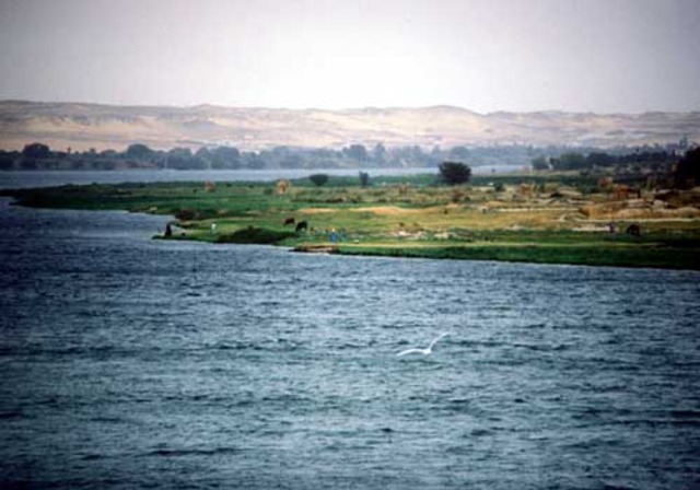 The  course  of   the  alie