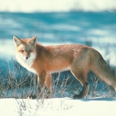 Timeline: 6B M@l@chy Lynelle