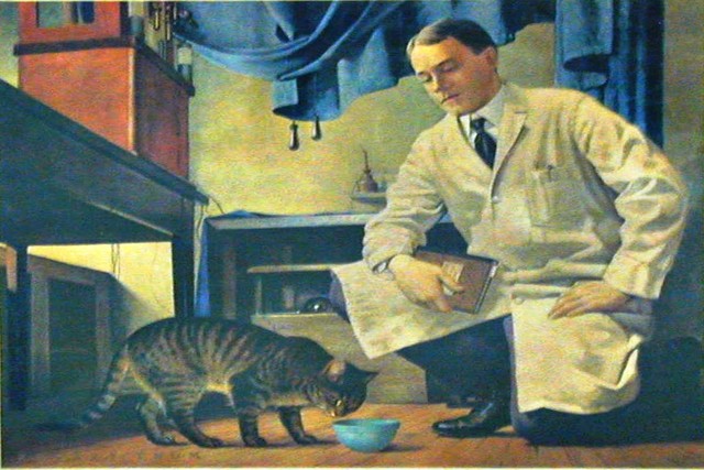 Walter B Cannon coined the term homeostasis and began research on the fight or flight phenomenon