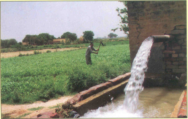 Irrigation