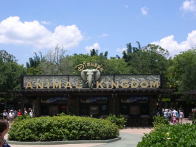 Animal Kingdom Opened