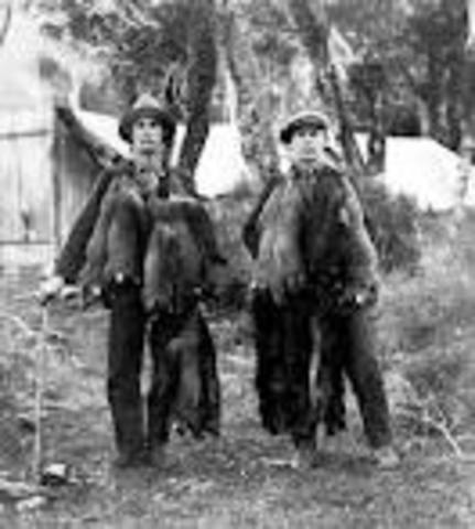 French Trappers and trade