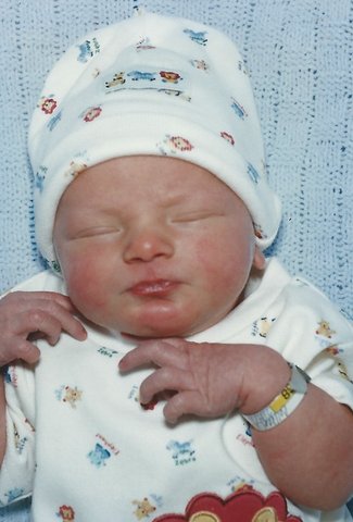 Brant's Birth