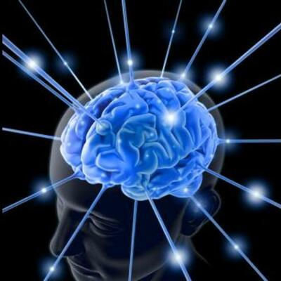 Timeline: Orígenes de las neurociencias