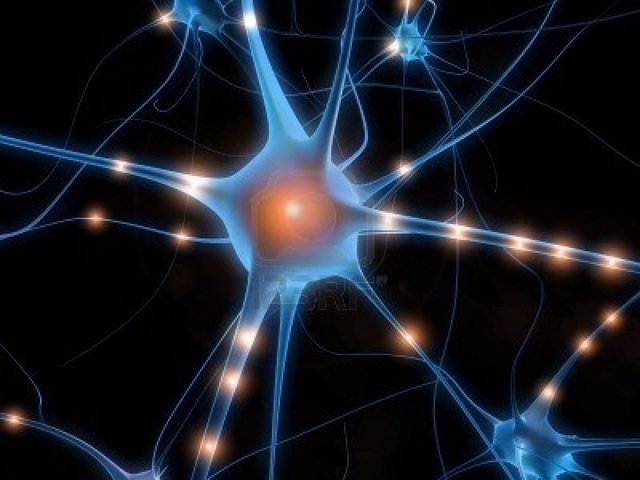 Célula nerviosa