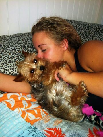 Yo conseguí un nuevo perro nombrado Jersey