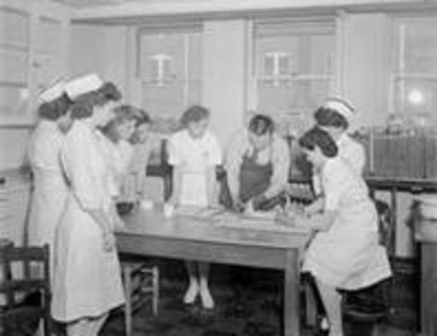 American Civil War Superintendant of Army Nurses