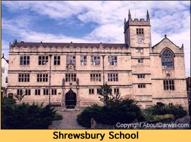 Charles attends Shrewsbury Grammar School
