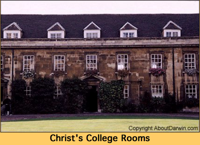 Charles studies to become a clergyman at Cambridge