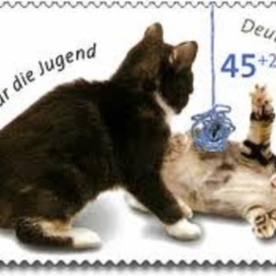 Timeline: Dr. Lemmon