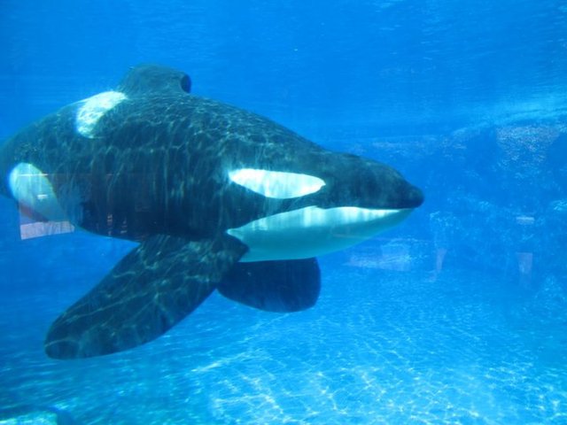 My first trip to flordia