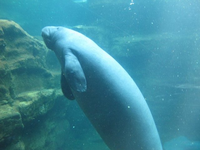 My second trip to flordia