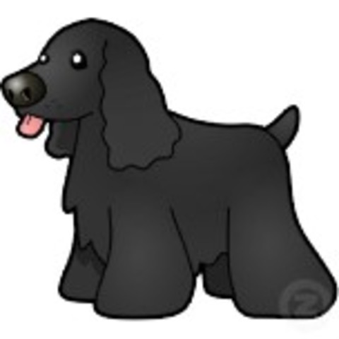 Got Winkie,my cockerspaniel cavilier mix