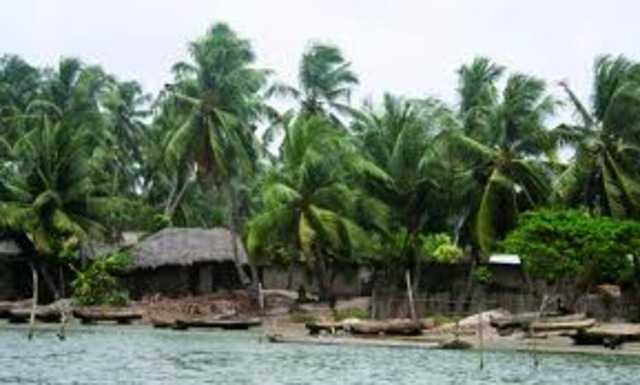 "Spoliation of Forests"