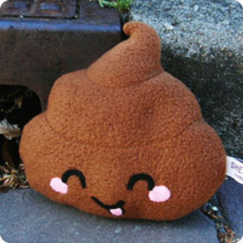 I get pooed on and catch dysentry