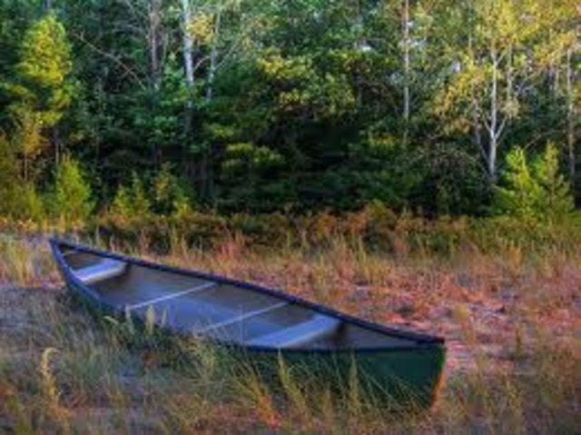 El Golfo de Santa Clara