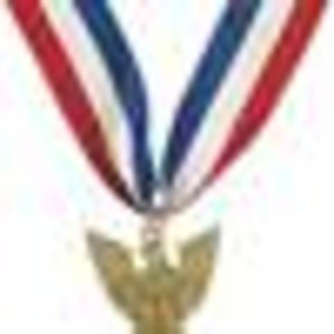 Revieved eagle scout status and recieved the Silver Buffalo award.