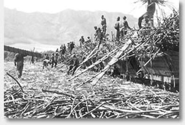 First sugar plantation in Hawaii, 1835