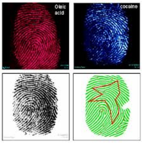 AFIS goes on computer database