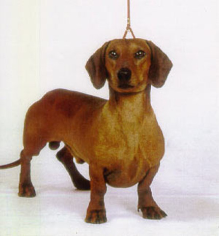 nacimiento de emilio