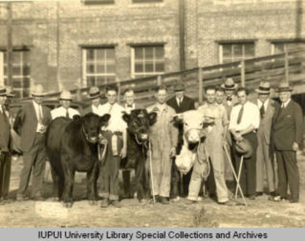 American Royal Livestock Show
