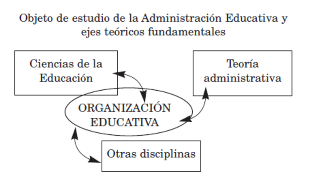 Bases de las Organizaciones