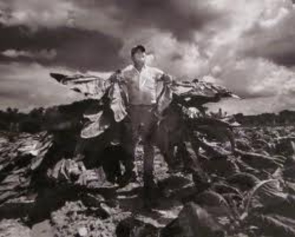 America started to grow tobacco