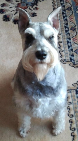 New member of the family ! =)