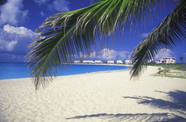 Return to the Carribean Island