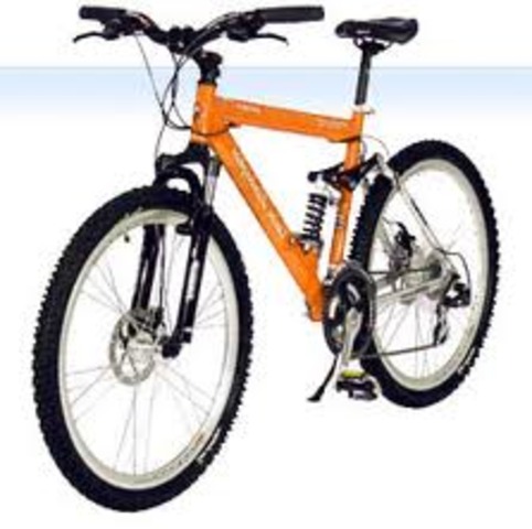 The Mountain Bike