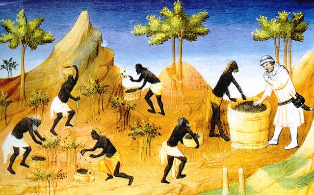 Major system of slavery in West Indies