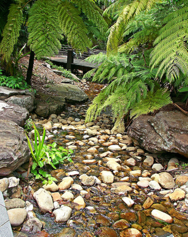 Kokoda Track Campaign