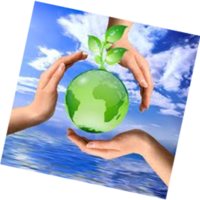 Timeline: Antecedentes de la Sustentabilidad