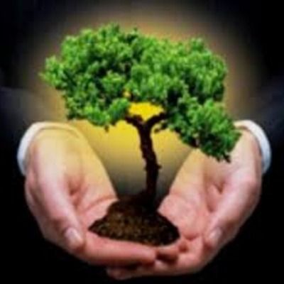 Timeline: Antecedentes de la Sustentabilidad