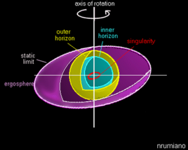 Black Holes are Like Spinning Tops