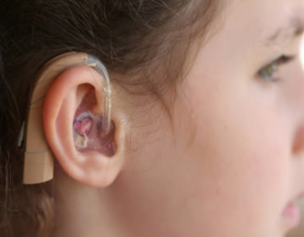 Digital Hearing Aid