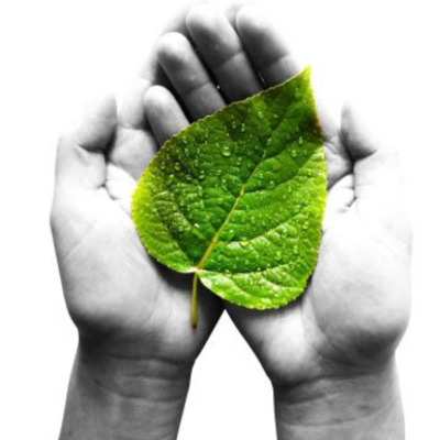 Timeline: Antecedentes de la Sustentabilidad