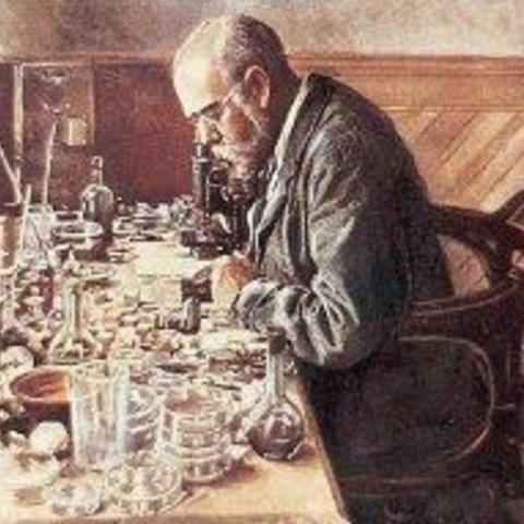 Roberto Koch
