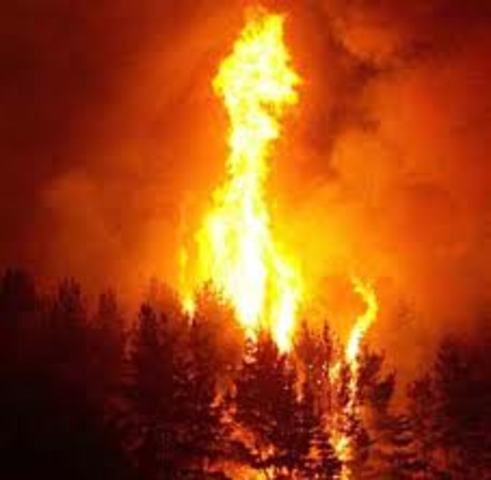 Canberra bushfires reach the suburbs.