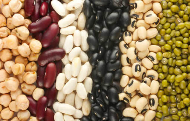 SATISFACCIÓN ALIMENTARIA