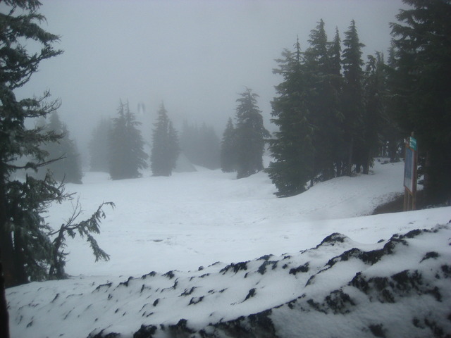 We played in the snow on Mt. Hood