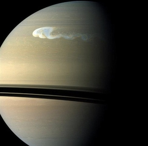 Great Annual White Cloud