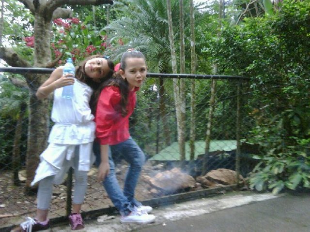 Second time at zoo ave